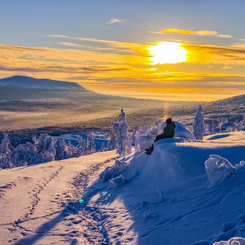 Photo #13174521