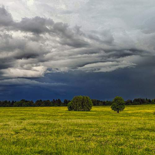 Photo #13174529