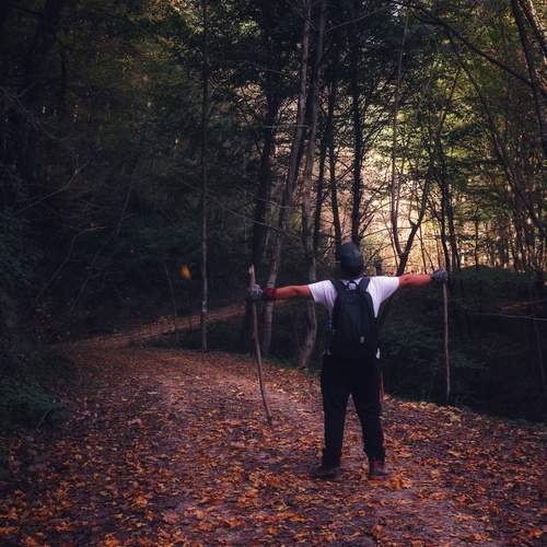 Photo #13174533