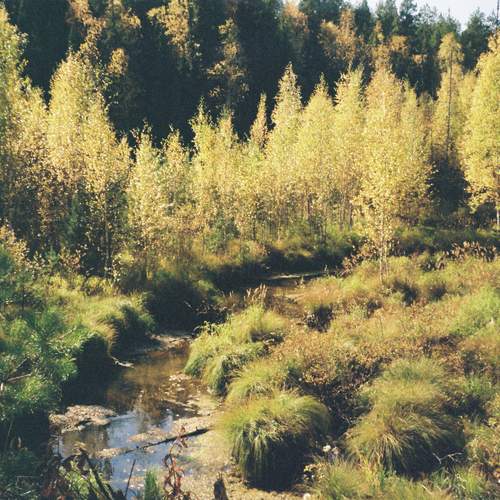 Photo #13174542