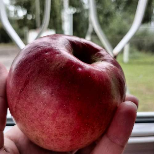 Photo #13174672
