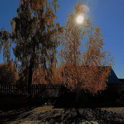 Photo #13174677