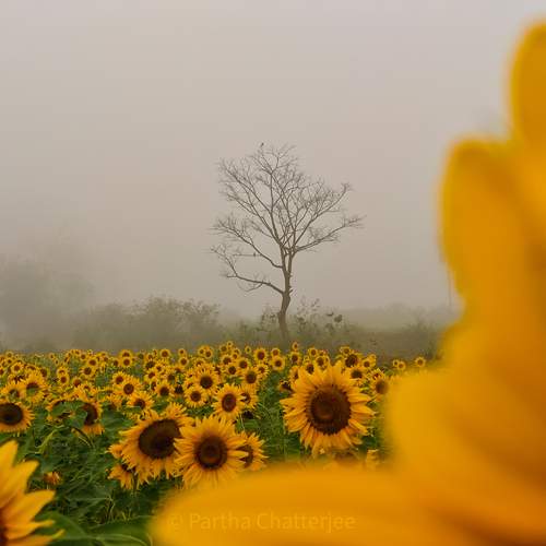 Photo #13174714
