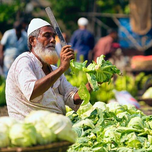 A Dhaka Vegetable Vendor