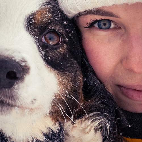 Photo #13174796