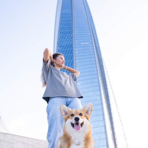 Photo #13174804