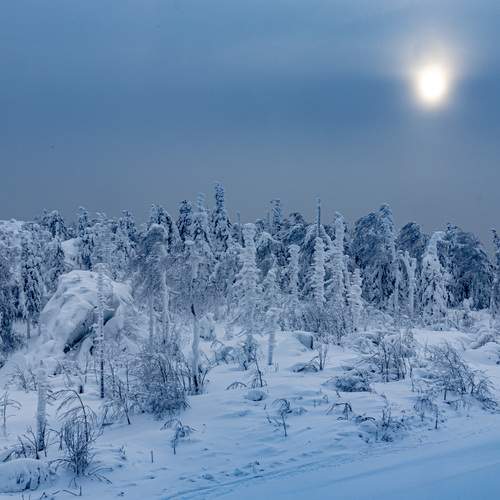 Photo #13174835
