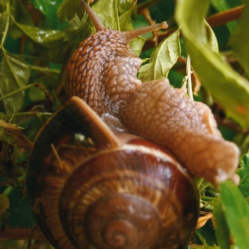 Photo #13174867