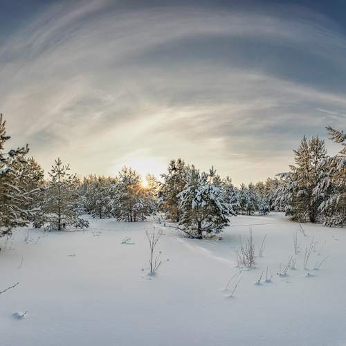 Фотография #13174932