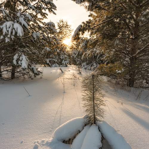 Фотография #13174934