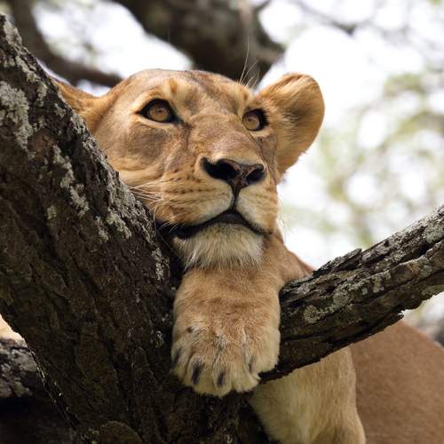Photo #13175033