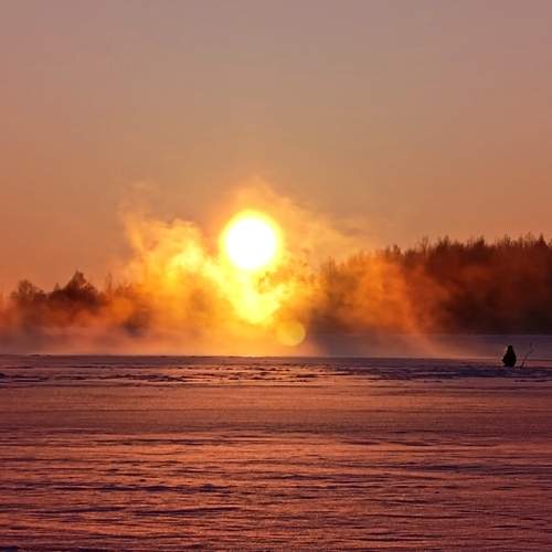 Photo #13175050