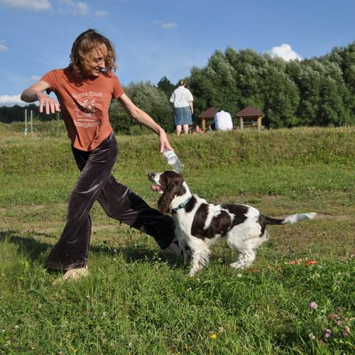 Photo #13175112