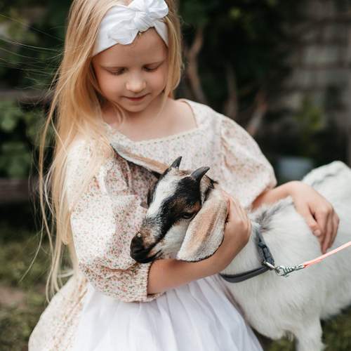 Photo #13175244