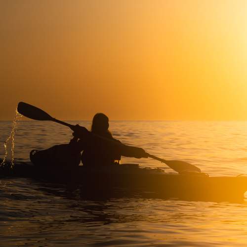 Photo #13175341