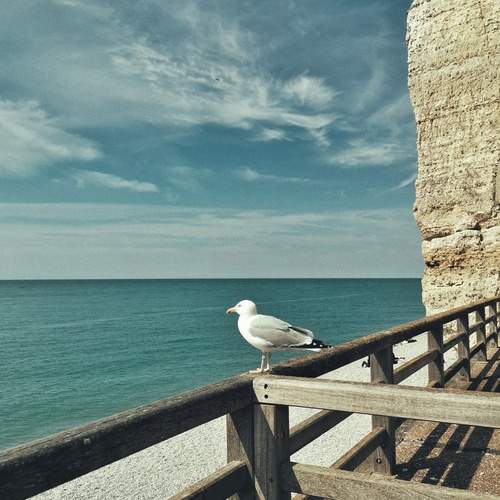 Photo #13175375