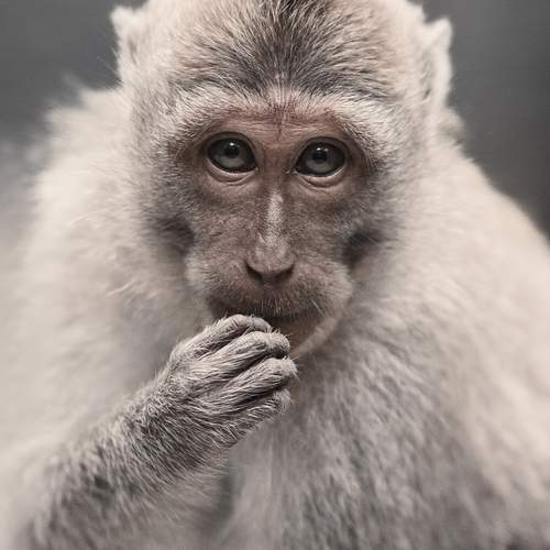 Photo #13175402