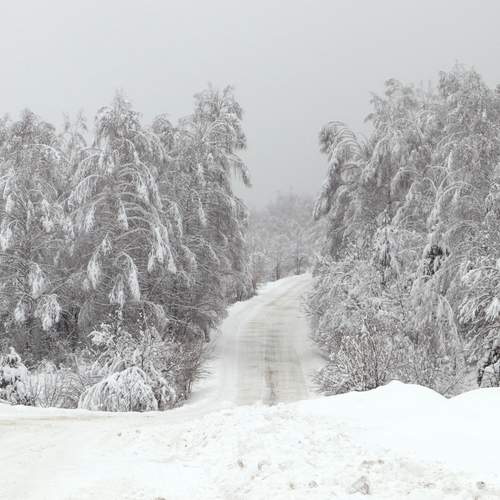 Photo #13175477