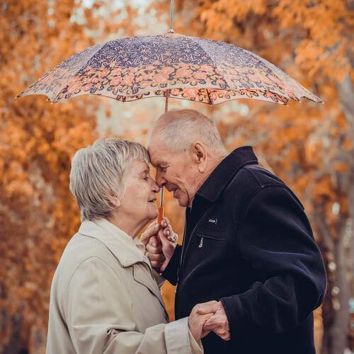 Photo #13175506
