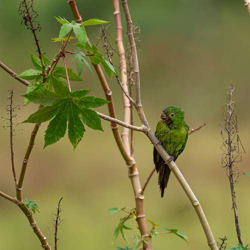 Photo #13175557