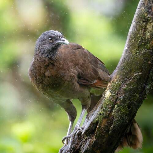 Фотография #13175560