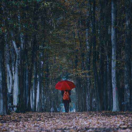 Alone in the Rain