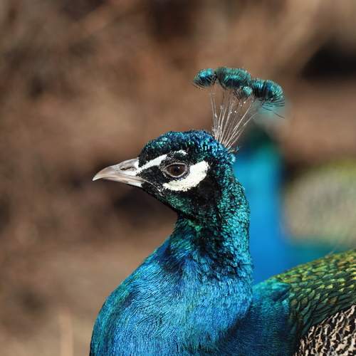 Photo #13175678