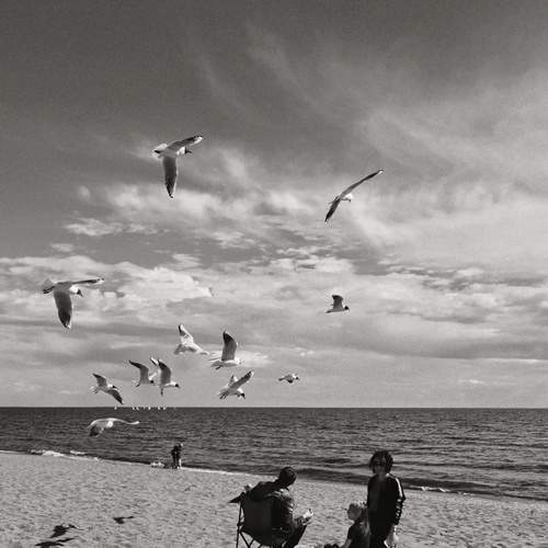 Photo #13175744