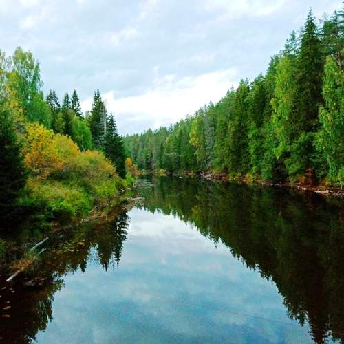 Photo #13175908