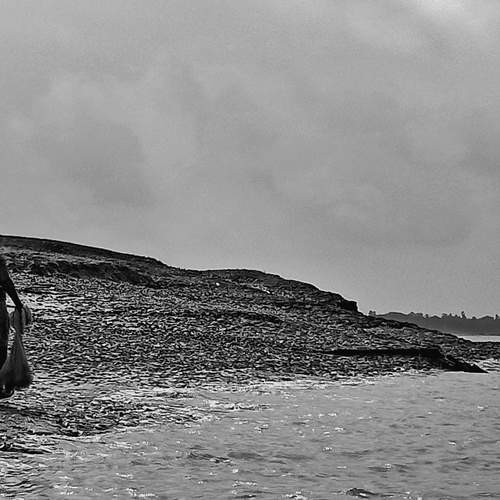 Photo #13176090