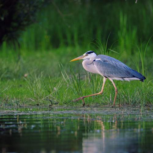 Фотография #13176102