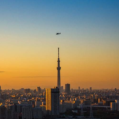Photo #13176159