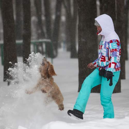 Photo #13176290