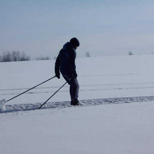 Photo #13176339