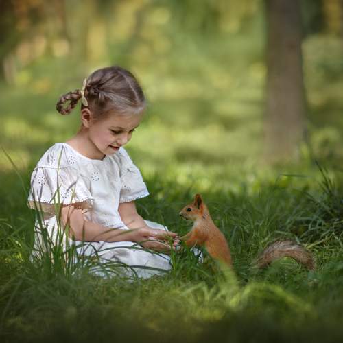Photo #13176484