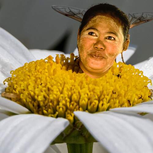 Фотография #13176490