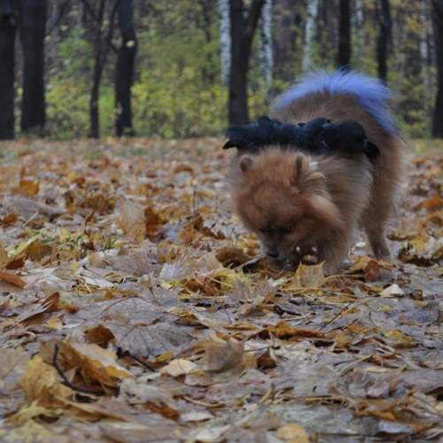 Photo #13176543