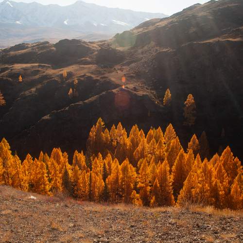 Photo #13176559