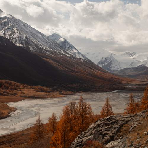 Photo #13176560