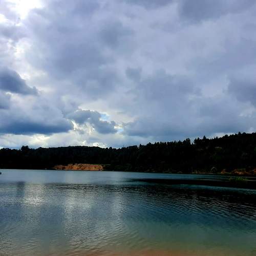 Photo #13176701