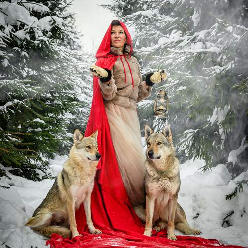 Photo #13176966