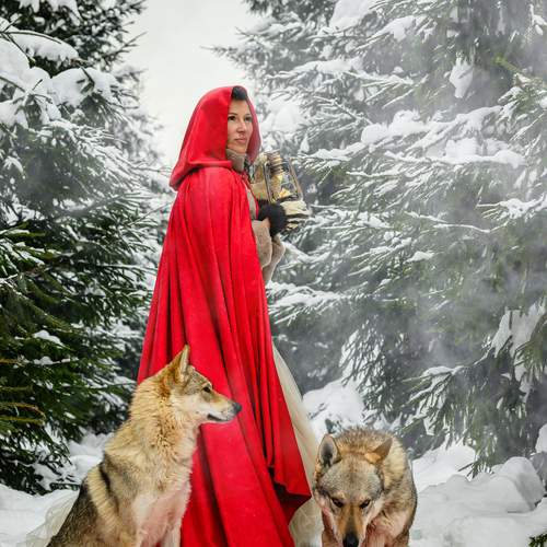 Photo #13176967