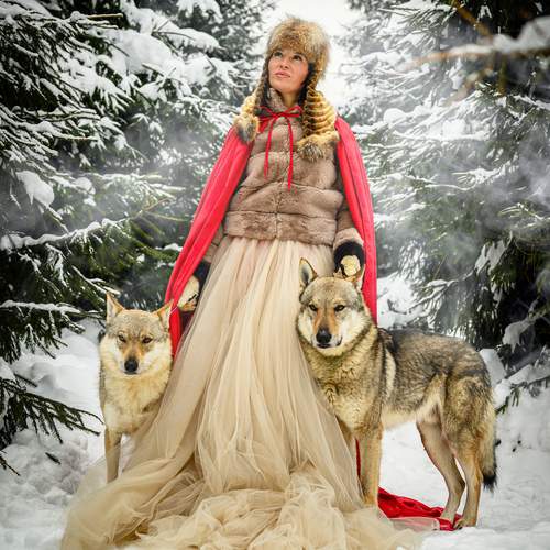 Photo #13176968