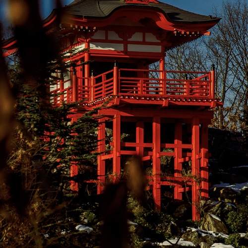 Photo #13177025