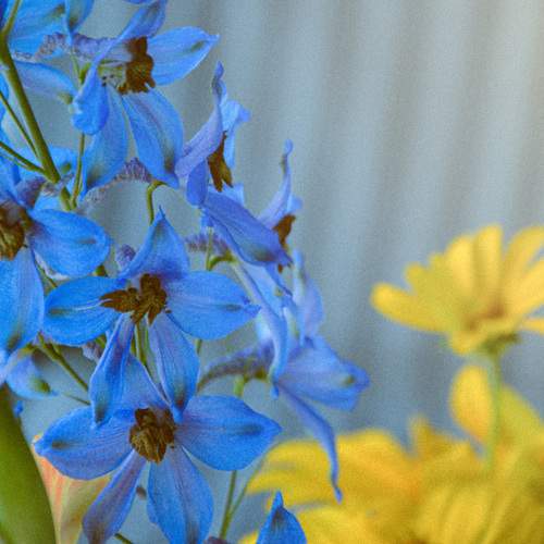Photo #13177094