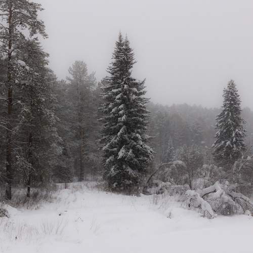 Фотография #13177165