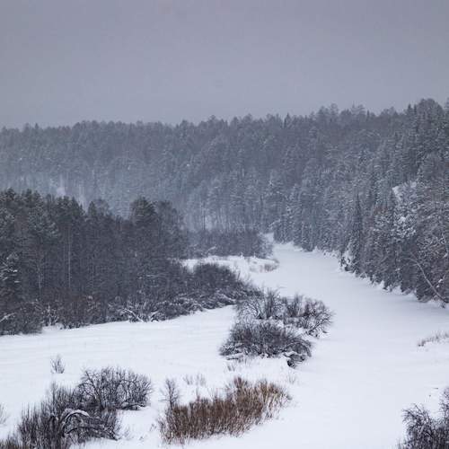 Фотография #13177166