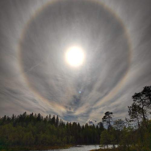 Photo #13177175