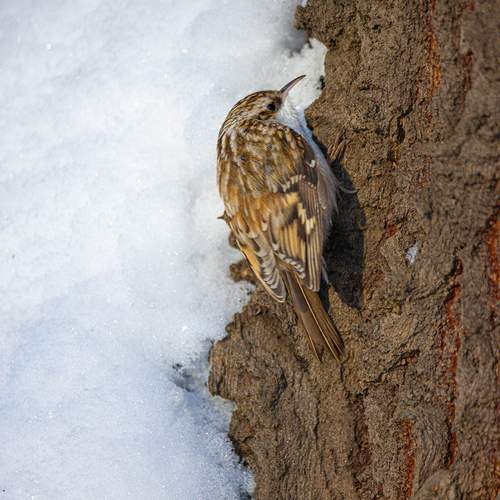 Photo #13177250