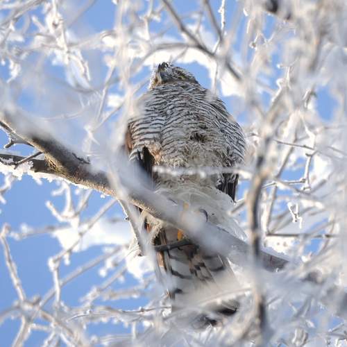 Photo #13177260